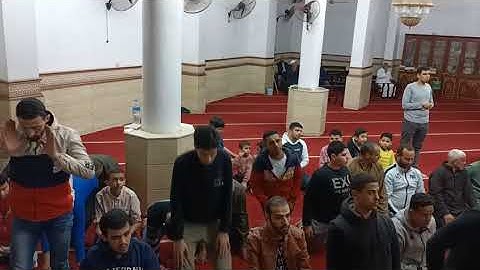 قراءة من سورة الملك والقلم والحاقة