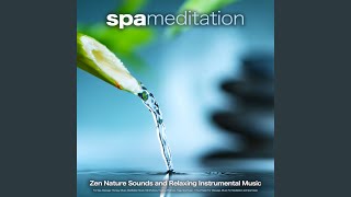 Massage Music With Zen Nature Sounds screenshot 3