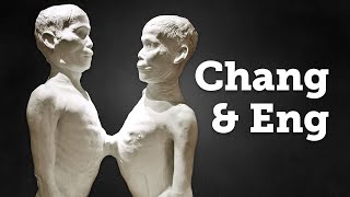 Fellow Favorites: Chang and Eng Plaster Cast