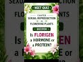 2nd puc biology, sexual reproduction in flowering plants