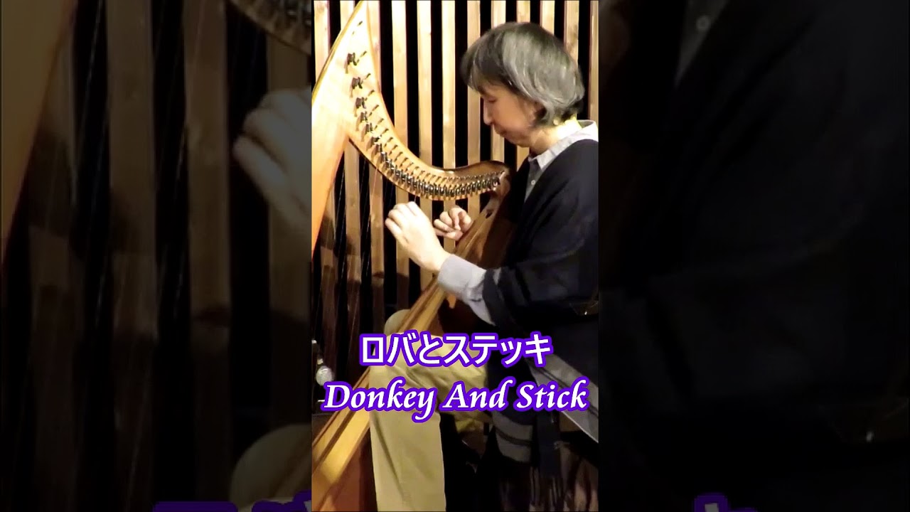 Donkey and Stick Harp Solo Short Video｜坂上真清