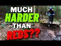 Mtb newbie attempts  hamsterley forest black route