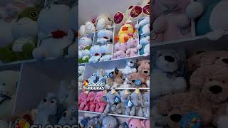 ¿No Alcanzaste el Peluche Punch? 😭 Aquí Sí Hay 🧸 #decoracionconglobos  #punch #changuito