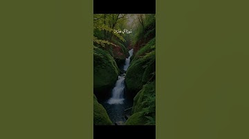 #المصحف #الرحمن اللهم اجعل القرآن الكريم ربيع قلوبنا ونور صدورنا يارررررب العالمين ⭐