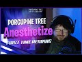 Porcupine Tree Anesthetize Reaction | Porcupine Tree Reaction