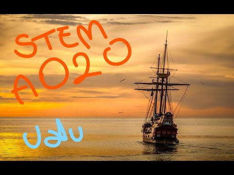 STEM A020