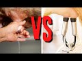 Hand Milking VS Machine Milking Battle | Feat. Toups Time