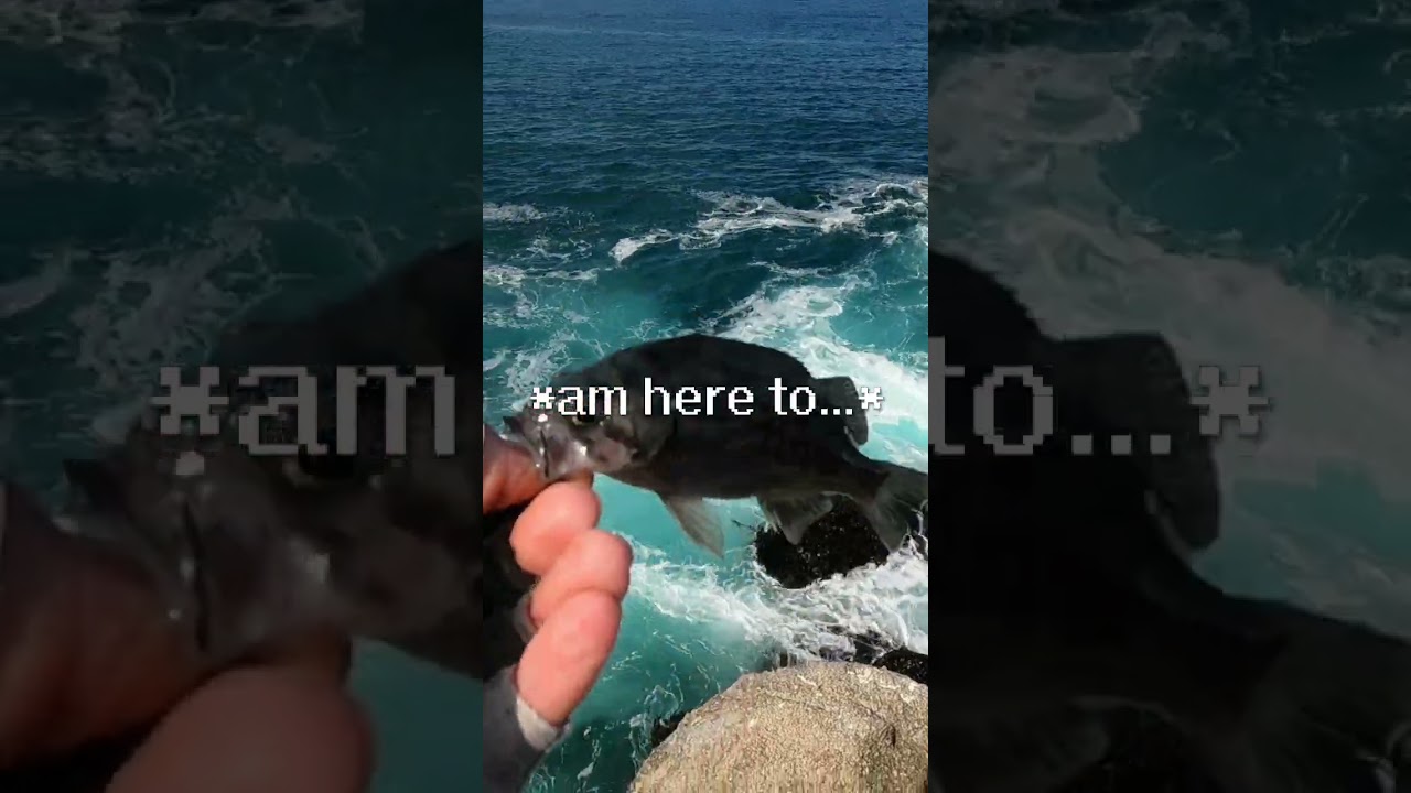 FISHING FROM THE CLIFFS IS MY FAV :D!  