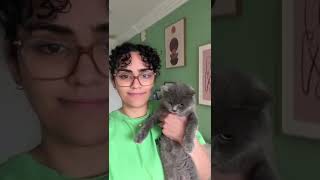 كم مرة تماوي القطط في اليوم؟ 🐈