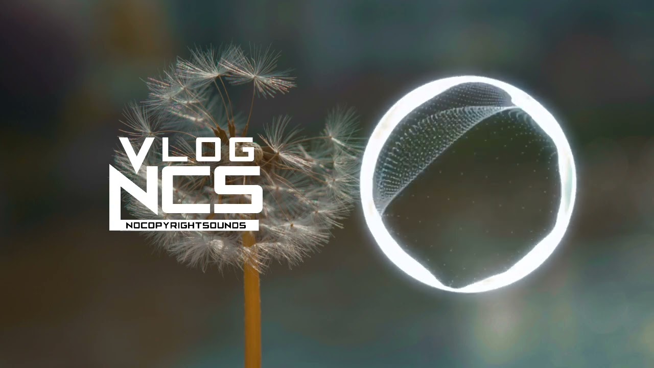 Ruth B. - Dandelions (Vlog No Copyright Music) [NoCopyrightSounds-VLOG]