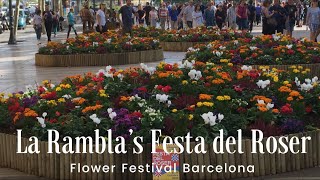La Rambla Festa Major | Festa del Roser 2019 I Festival of Roses and Flowers