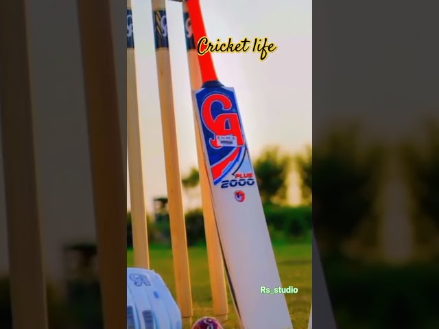 CRICKET IS LIFE CRICKET LOVE FANS BEST TRENDING on SHORTS YouTube #cricketlife #youtubeshorts #viral class=