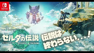 #11【ゼルダの伝説 ティアーズ オブ ザ キングダム】伝説っていいよね！（深い意味はなし）