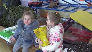 Онлайн навчання в Зимноводівській територіальній громаді
