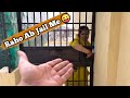 Raho ab jail me  ii daily vlogs ii jims kash vlogs vlog couplevlog