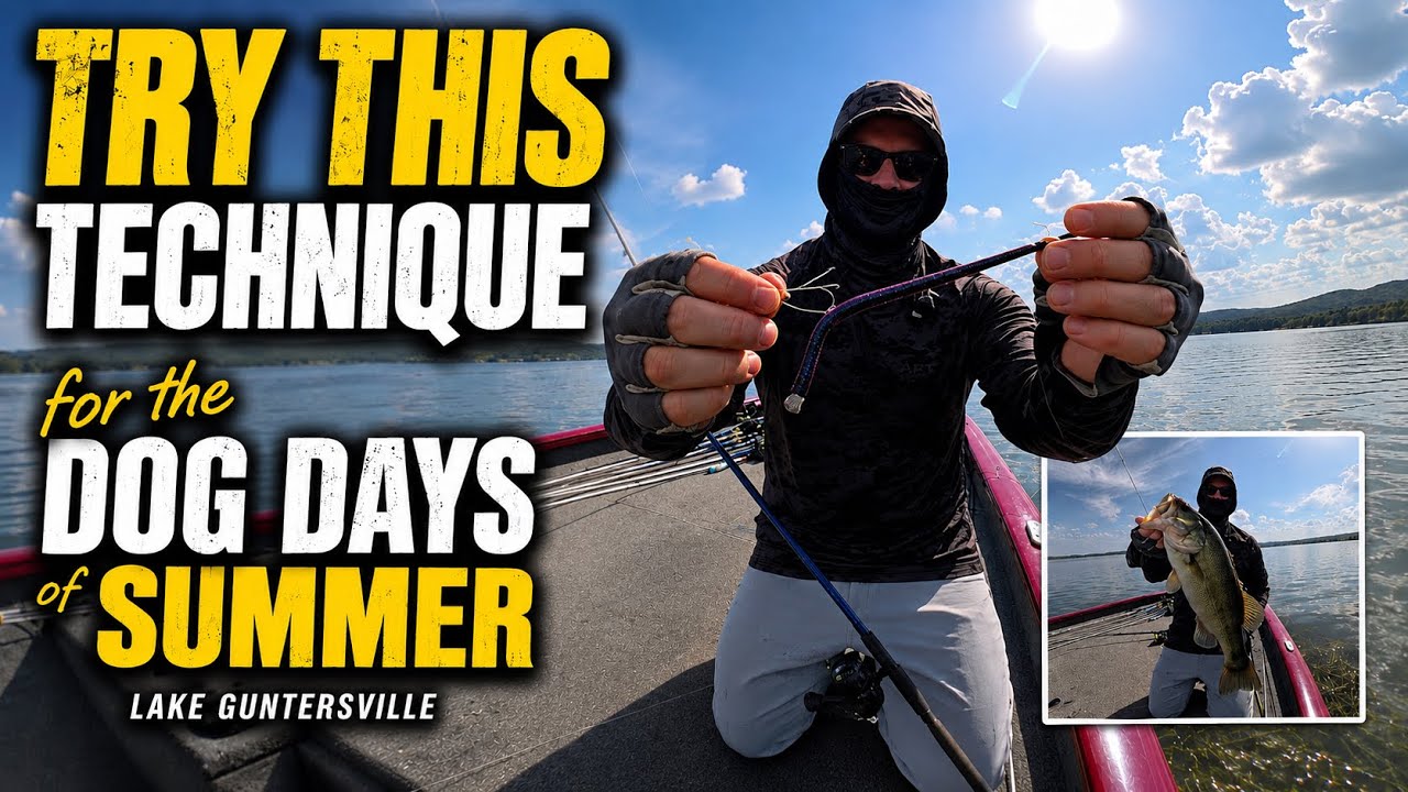 Neko Rig and Wacky Rig for Tough Late Summer Bass Fishing, Lake Guntersville