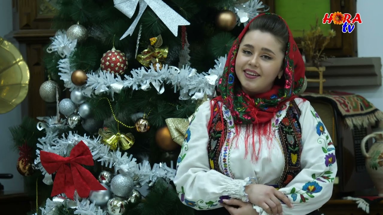 DENISA ARDELEAN  Scoala gazda, scoala