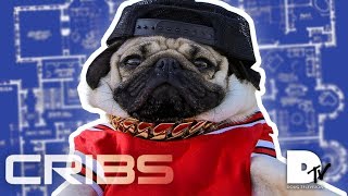 CRIBS  Doug The Pug