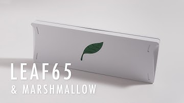 Leaf65 (FR4 Plate) with lubed Marshmallow Typing Test