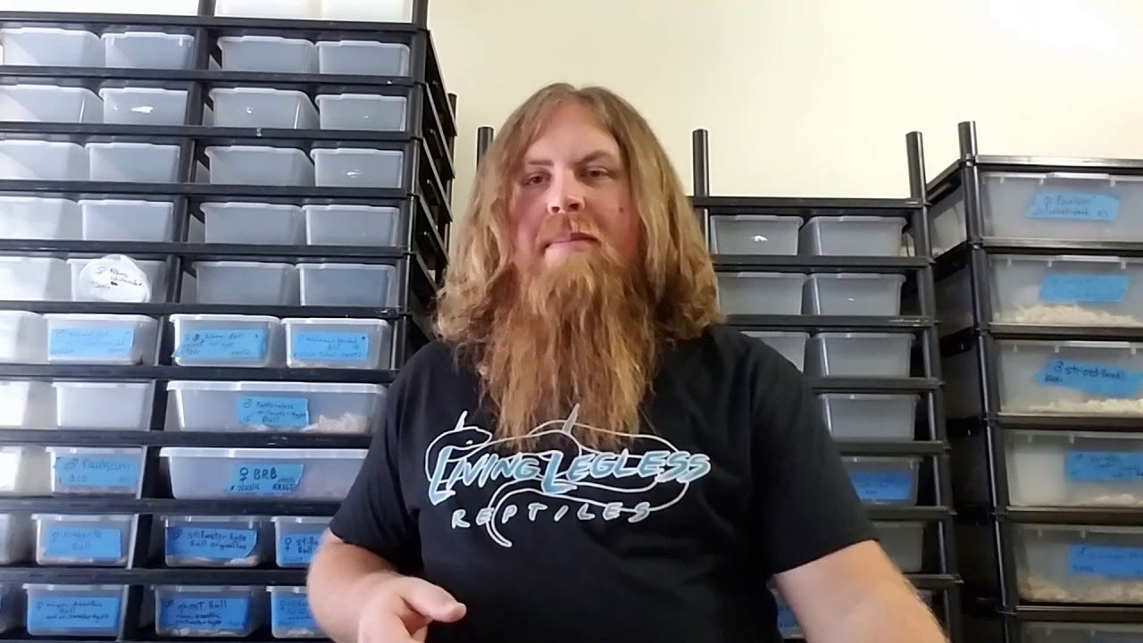 Properly shipping reptiles - YouTube