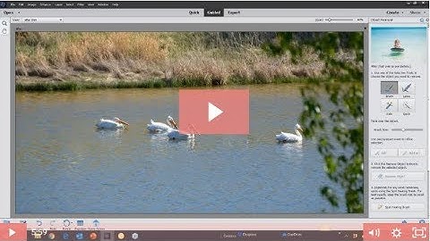 How to Remove an Object in Photoshop Elements 2020