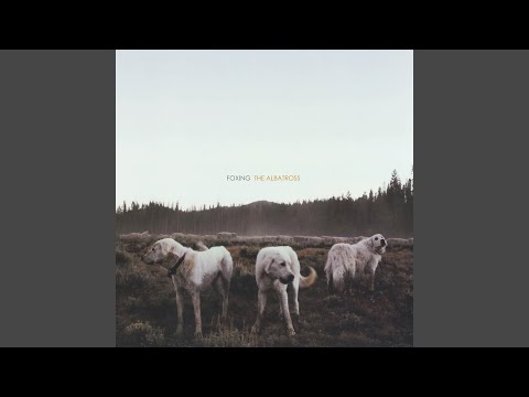 The Medic - Foxing