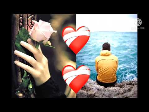 هوزان كاوا شافيمن بيتا أجمل اغنيه كردية حزينة حالات واتس اب اغنيه كردية