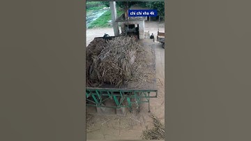 chi tiết kỹ năng lái cẩu trong khu công nghiệp