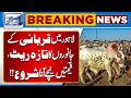 Fresh Update on Qurbani Animal Prices in Lahore | Rates Begin to Decline | Lahore News HD