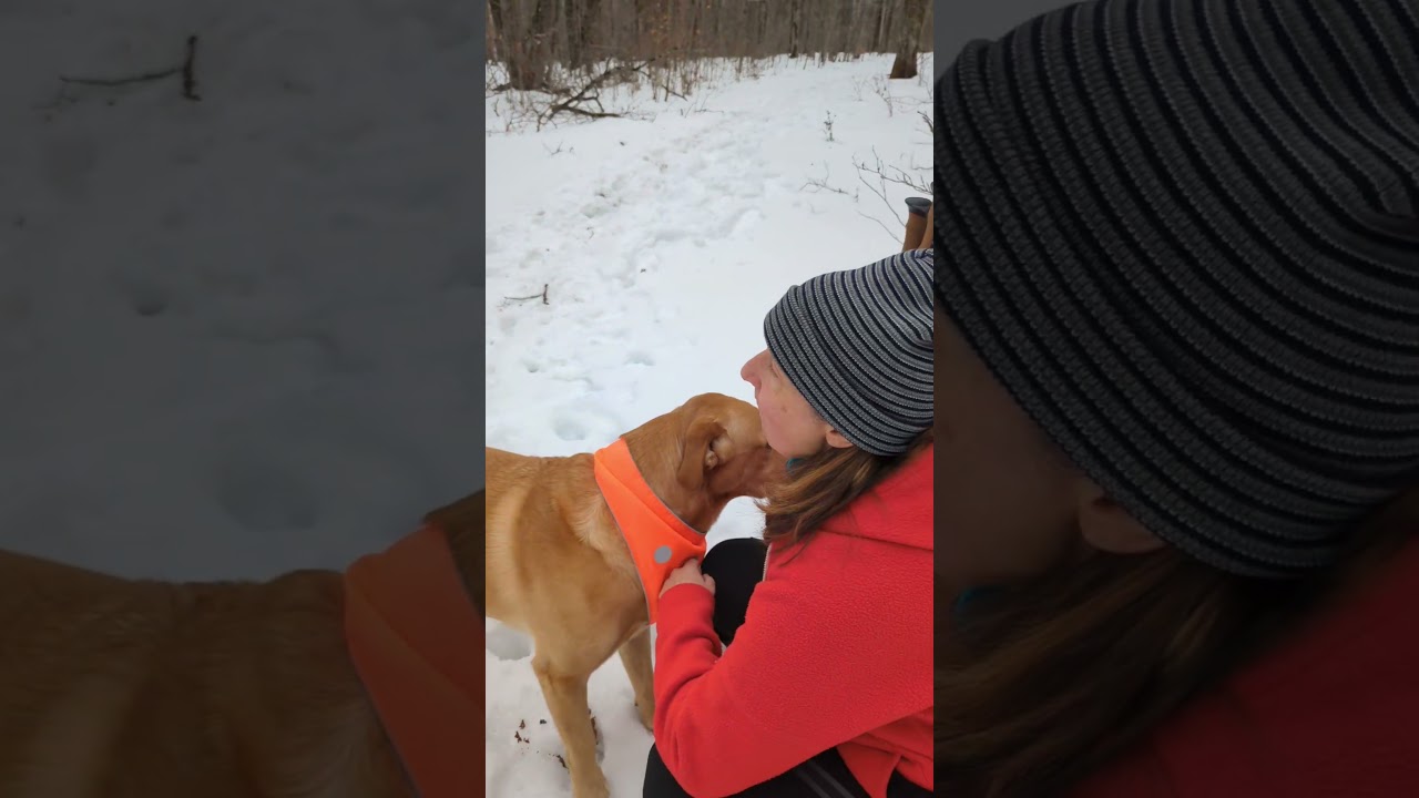 Tobyhanna State Park - #hikeaversary #hike #snowshoe #nature #winter