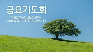 금요기도회 24년 4월 26일(치유하는감리교회)