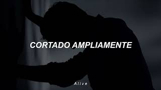 Downplay - Digging It Out (Sub. Español)