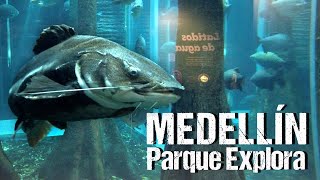 Un ACUARIO GIGANTE en Medellín | PARQUE EXPLORA | ¿Vale la pena?