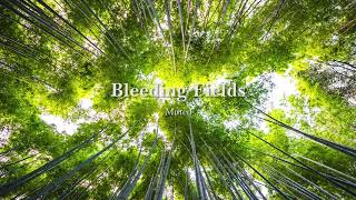 Muted - Bleeding Fields | Dramatic Epic Cinematic Music | No Copyright Music