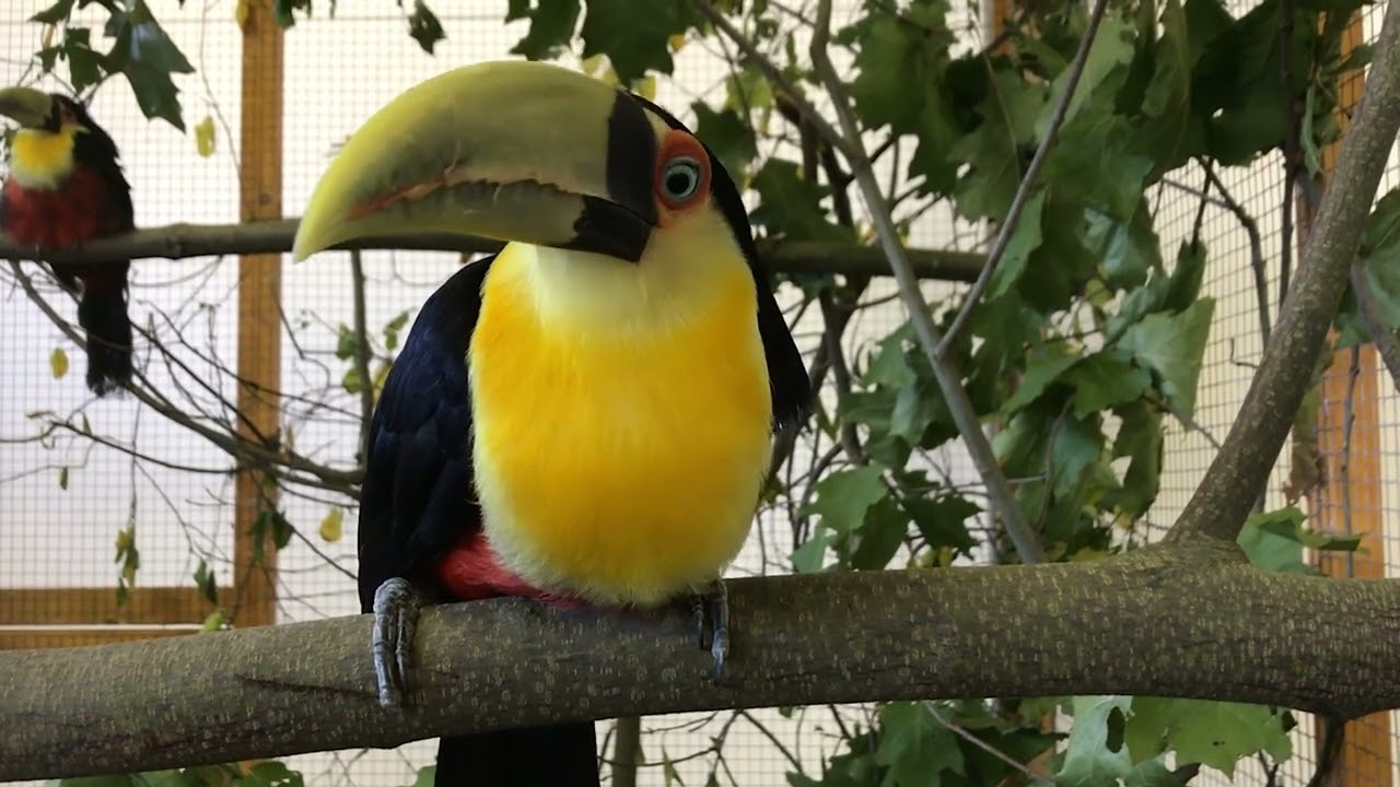 VIDEO Exota Olomouc 2023