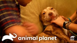 Oatmeal Finds An Outdoorsy Family | Monsters Inside Me | Animal Planet by Animal Planet 25,146 views 3 days ago 9 minutes, 52 seconds