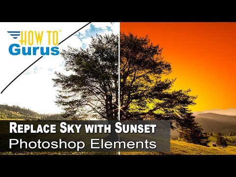 How To Change Sky Background Behind Tree Photo Manipulation Photoshop Elements      