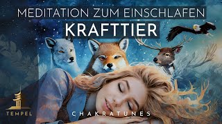 Traumreise zu Deinem Krafttier: Meditation zum Einschlafen