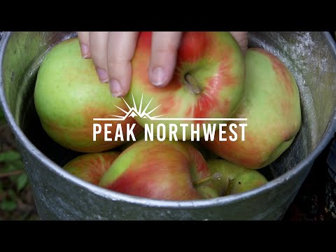 How to spend a full day on the Hood River Fruit Loop | Peak Northwest