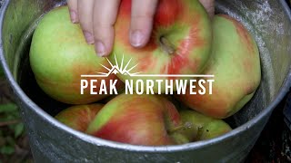 How to spend a full day on the Hood River Fruit Loop | Peak Northwest