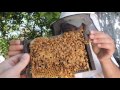 abejas Cabaña Apícola Vairolatti SA