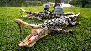 Bowhunting GATOR INFESTED Island!! (CATCH and COOK + BOW GIVEAWAY)
