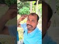 Naseeb ba bhi kya rang laya kanha lake humko milaya#shorts#sadsong#kumarsanu#Raajnandini