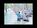 The Increasing Geopolitical Changes in the Pacific
