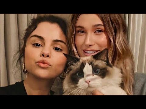 Video: Selena Gomez pavydėjo Hailey Baldwin