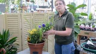 Helpful Tips on Making a Fall Planter look Spectacular