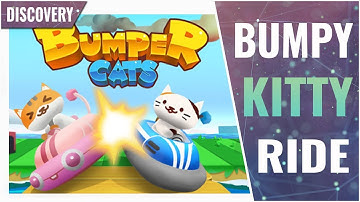 New Addictively Amusing Mobile IO Game? Bumper Cats! | Game Discovery