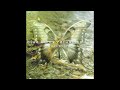 BLUE BIRDS REFUSE TO FLY - Play With Me