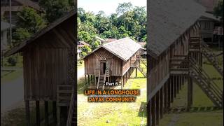 Betang House – Dayak | Life Inside the House (Part 6) | Built By Hand #culturalheritage #aivideo