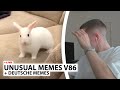 Justin reagiert auf noch mehr Unusual Memes + Deutsche Memes | Live - Reaktion